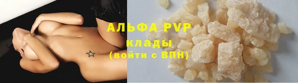 spice Богданович